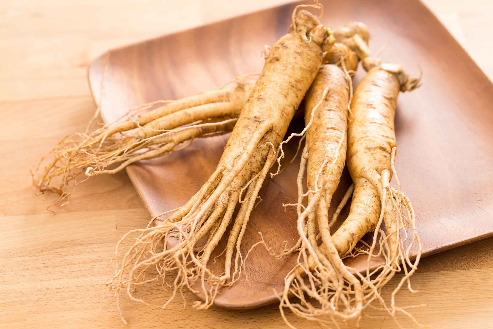 American Ginseng